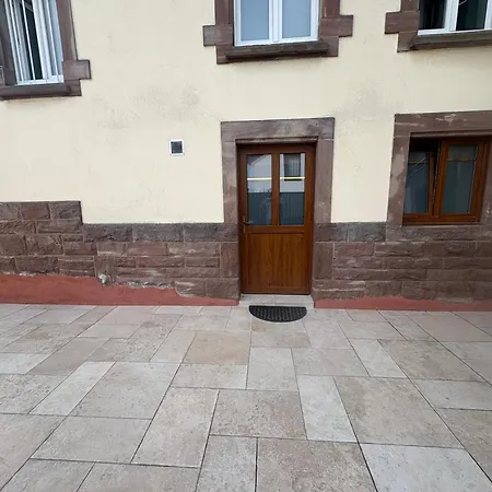 Neuf Elegant Proche Gare Mulhouse Riedisheim